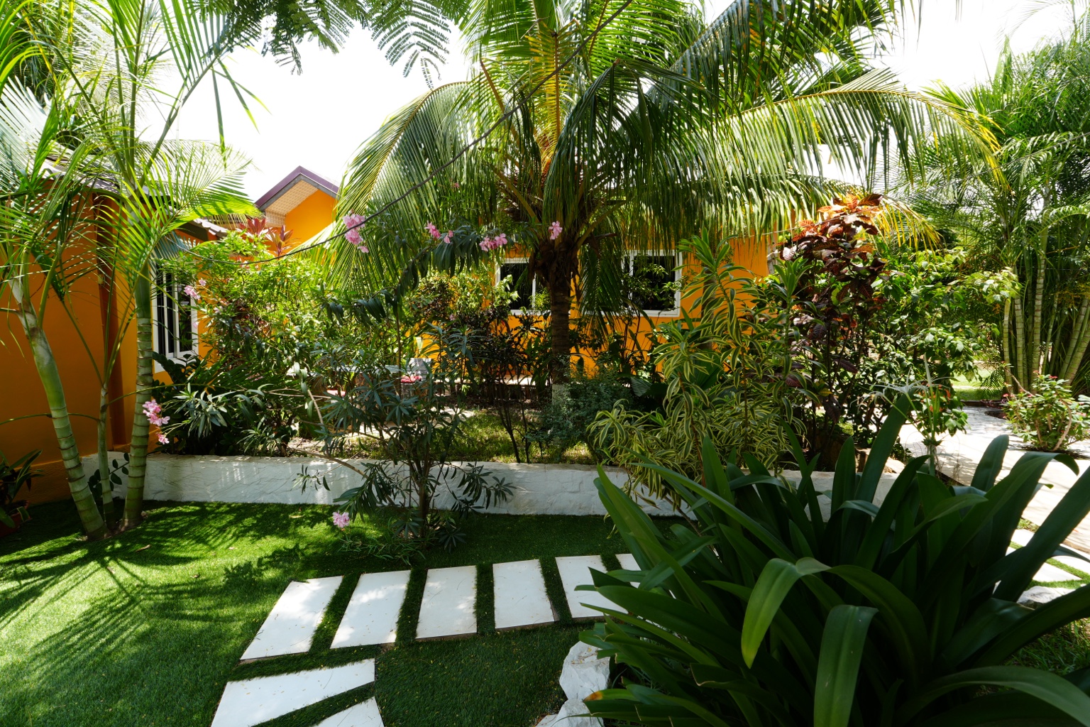 Tropical garden with palms, flowering shrubs and stepping-stone lawn path