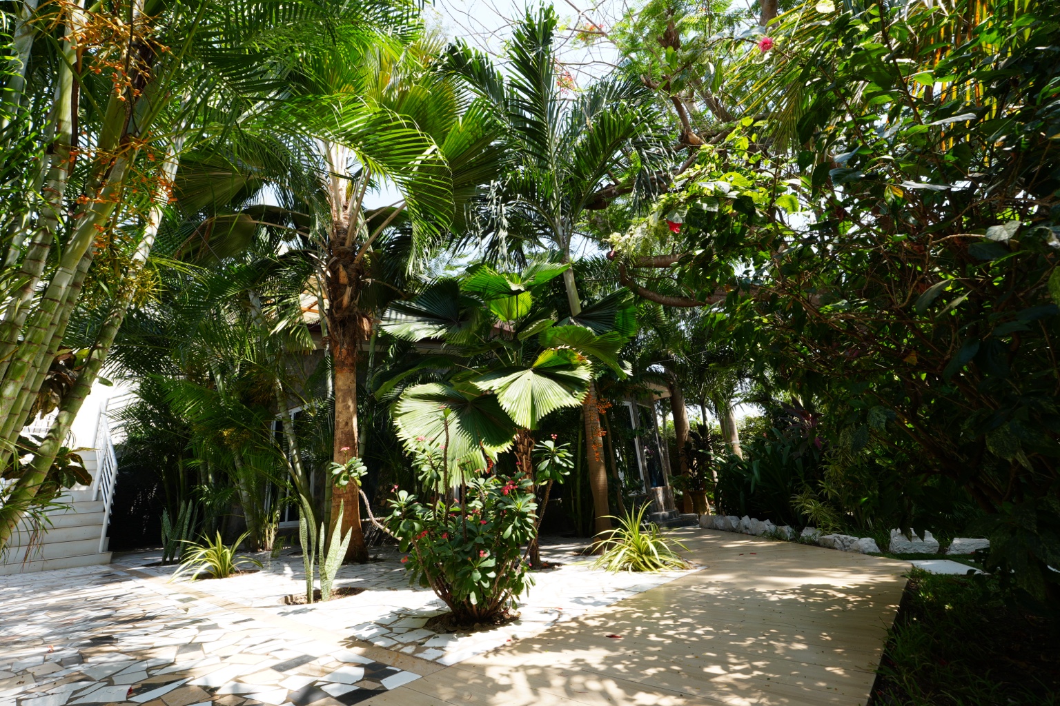 Lush tropical courtyard garden with fan palms and flowering plants