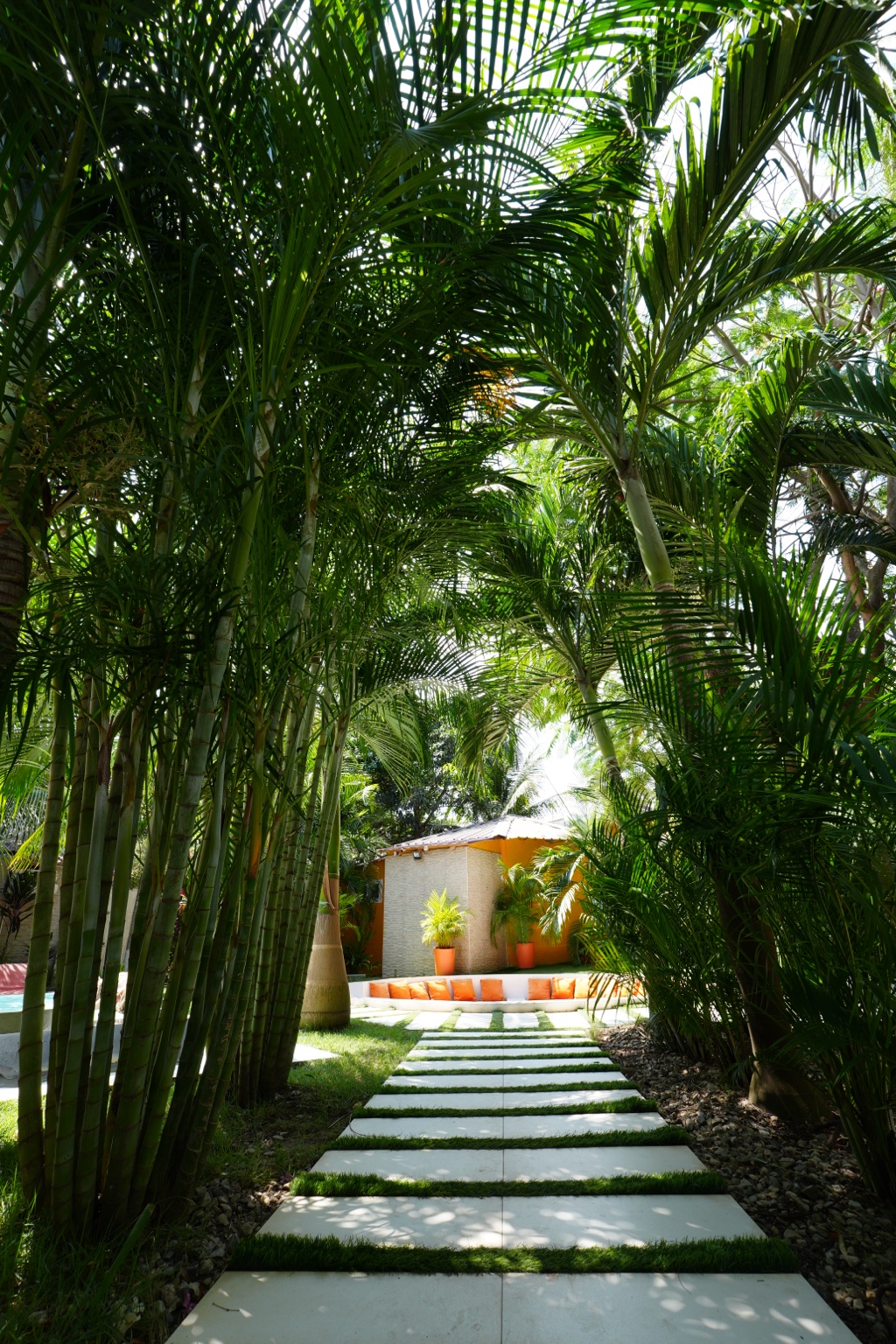 Palm and bamboo lined stepping-stone path through the garden